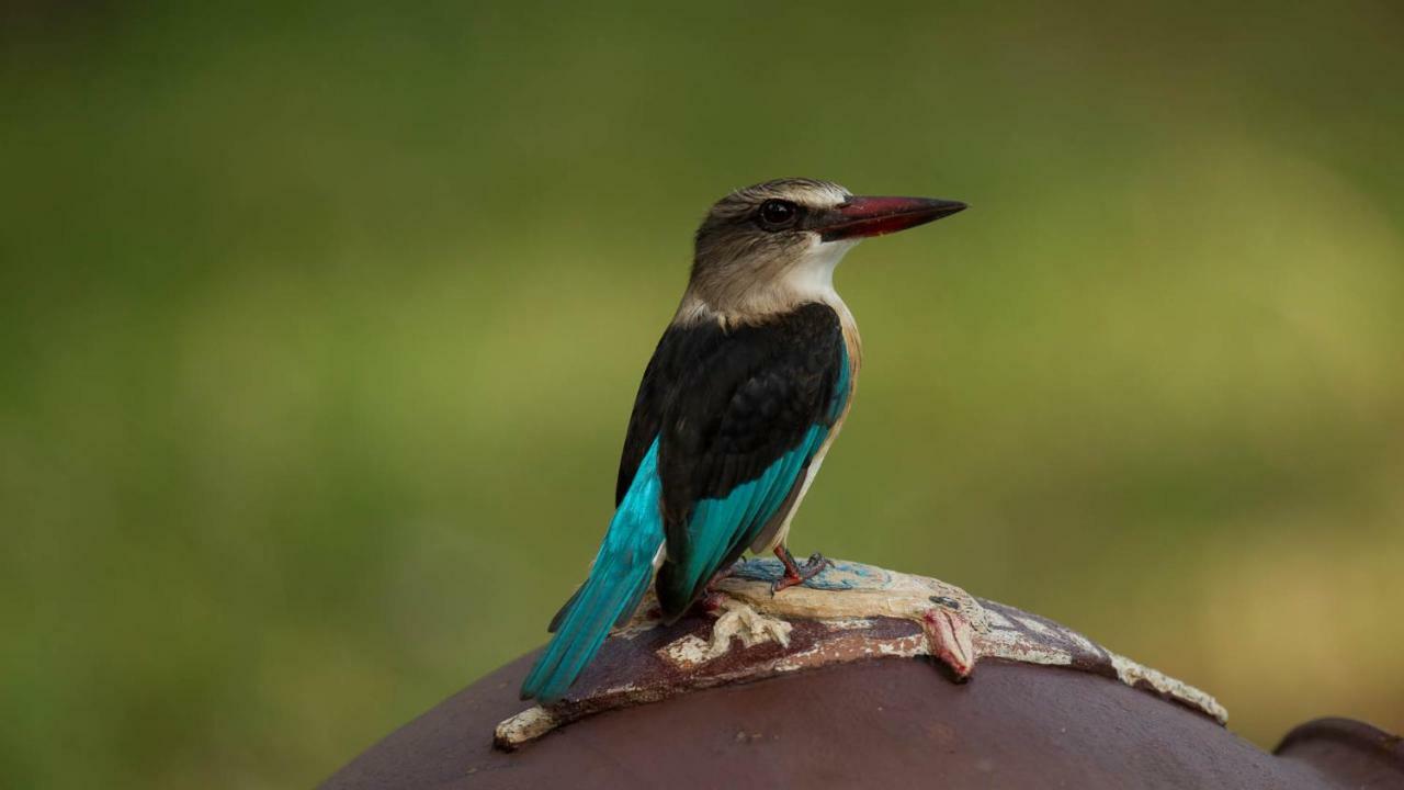 Kwalucia Private Safari Retreat