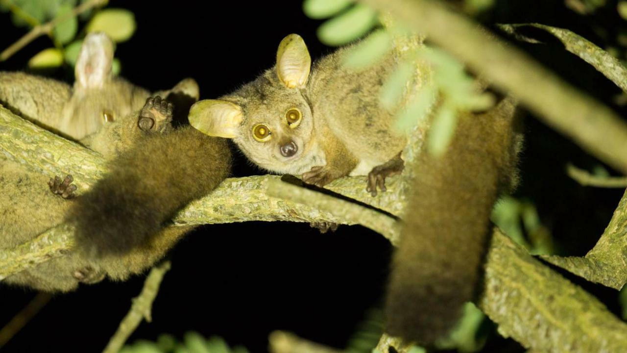 Kwalucia Private Safari Retreat Guest house *