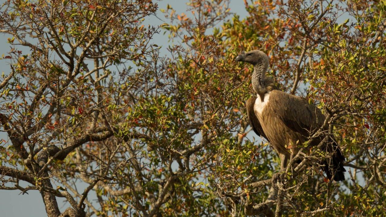 Kwalucia Private Safari Retreat Guest house St Lucia
