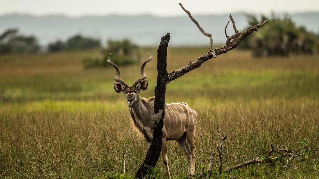 Kwalucia Private Safari Retreat St Lucia